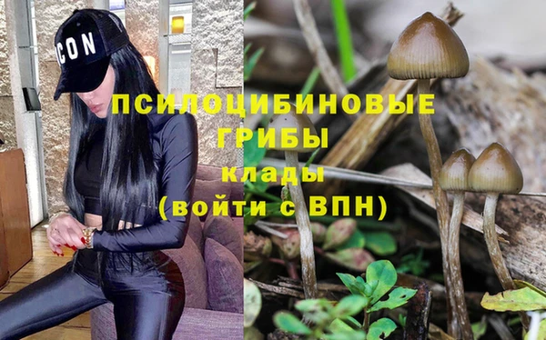 мяу мяу мука Абинск