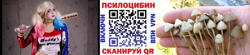 Псилоцибиновые грибы Psilocybine cubensis  Хасавюрт 